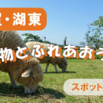 滋賀県湖東エリアの動物ふれあいスポット特集を紹介するブログ用アイキャッチ画像で草原に羊がいる風景を通して自然の中で動物とふれあえる雰囲気を伝えるデザイン