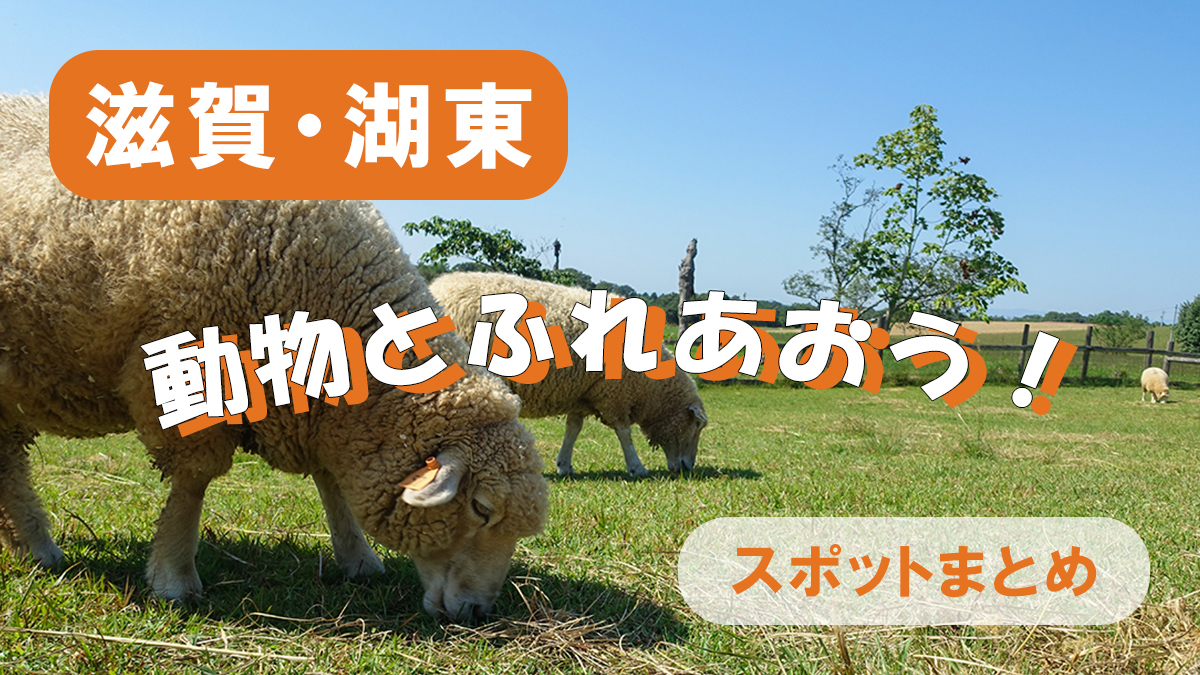 滋賀県湖東エリアの動物ふれあいスポット特集を紹介するブログ用アイキャッチ画像で草原に羊がいる風景を通して自然の中で動物とふれあえる雰囲気を伝えるデザイン