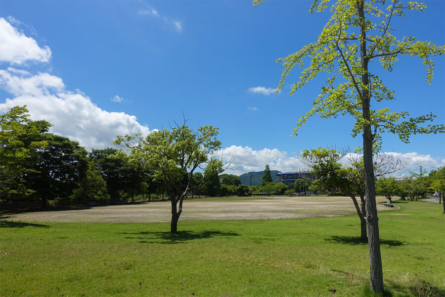 彦根市の多景公園の全景。芝生と土が混在する広場が広がり、数脚のベンチが設置されている。木陰もあり、来園者が水遊びの合間にゆったりと休憩できる開放的な空間