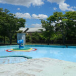 彦根市多景公園の2025年夏限定ぞうさんプールの全景。象のオブジェがある噴水エリアで、無料で楽しめる幼児向け水遊び場