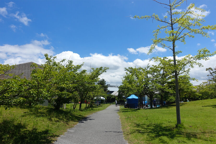 彦根市の多景公園にあるぞうさんプールを少し離れた場所から撮影した風景。水遊び場に向かう園内の小道から、象のオブジェや一部のプール設備が見えます